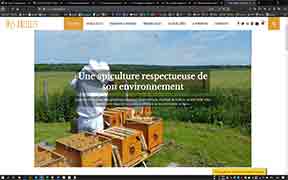 Samuel Fedorawiez - Mes Abeilles