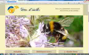terre-d-abeilles