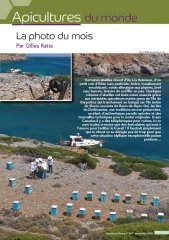 la_photo_du_mois_787.jpg