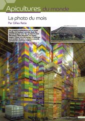 la_photo_du_mois_790.jpg