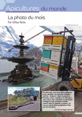 la_photo_du_mois_796.jpg