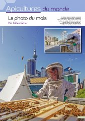la_photo_du_mois_823.jpg