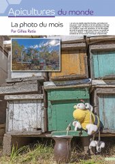 la_photo_du_mois_829.jpg