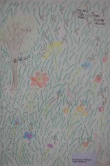 slovenia_2010_74.jpg