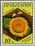 102.jpg