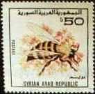126.jpg