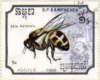 83.jpg