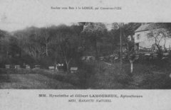 03-02.jpg