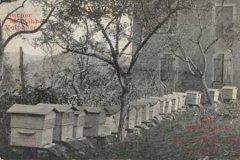 12-01.jpg