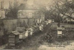 16-03.jpg