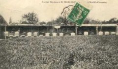 16-06.jpg