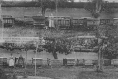 27-05.jpg