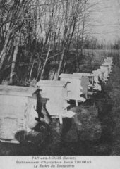 45-02.jpg