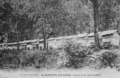 46-01.jpg