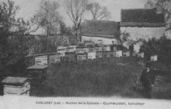 46-02.jpg
