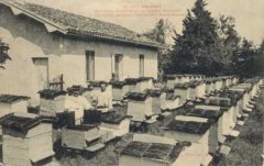 47-07.jpg