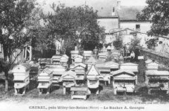 52-01.jpg