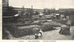 60-06.jpg