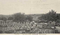 60-07.jpg