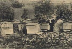60-08.jpg