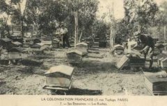 75-06.jpg