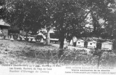 76-01.jpg