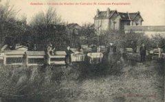 77-03.jpg