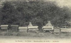 78-06.jpg