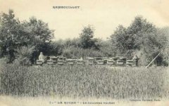 78-07.jpg