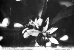 84-04.jpg