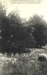 84-36.jpg