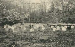 85-01.jpg