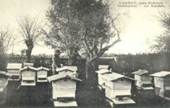 86-01.jpg