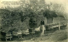apiculteur002.jpg