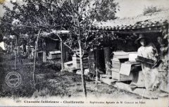 apiculteur003.jpg