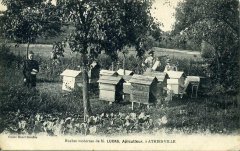 apiculteur004.jpg