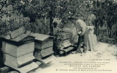 apiculteur010.jpg