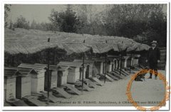 apiculteur011.jpg