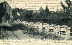 apiculteur028.jpg