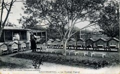 apiculteur038.jpg