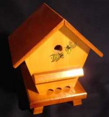 ruchettes_h_b_09.jpg