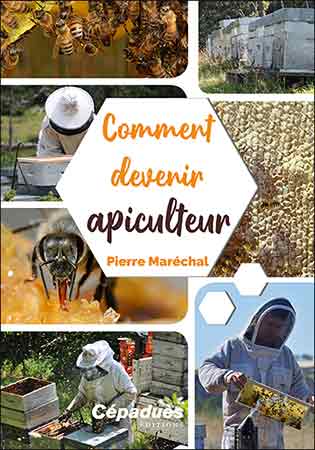 Cover of Comment devenir apiculteur