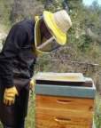 Portrait de Carlibee