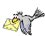 apis43s Avatar