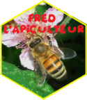 Portrait de fcalmant